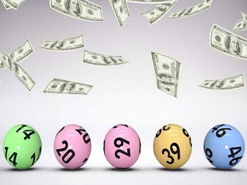 Cách Chọn Chạm Để Nuôi Hiệu Quả