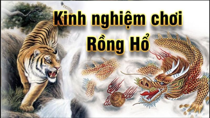 Quy trình 5 bước thực hiện cách bắt cầu Rồng Hổ Sunwin cho người mới